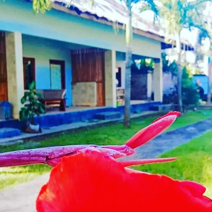 Mengalung Bungalow Kuta  Exterior foto