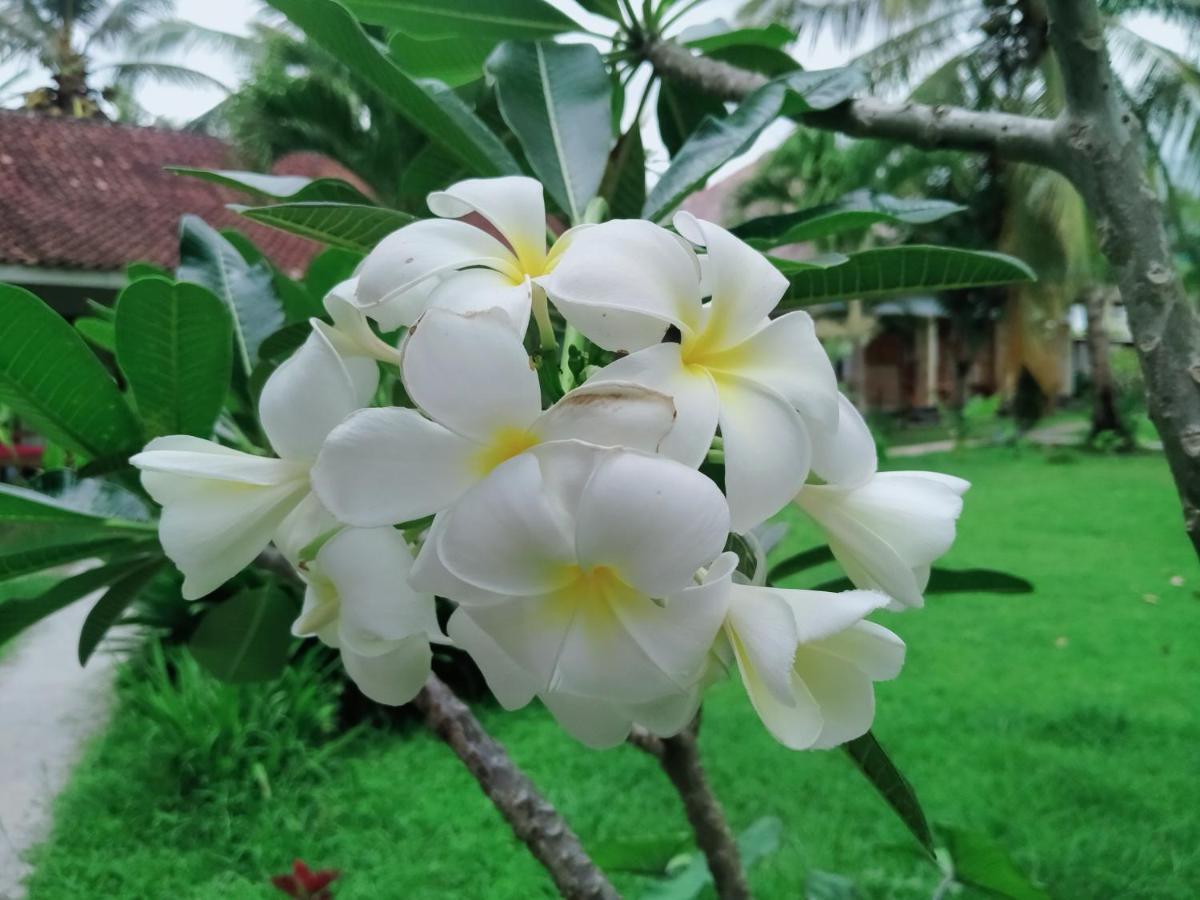 Mengalung Bungalow Kuta  Exterior foto