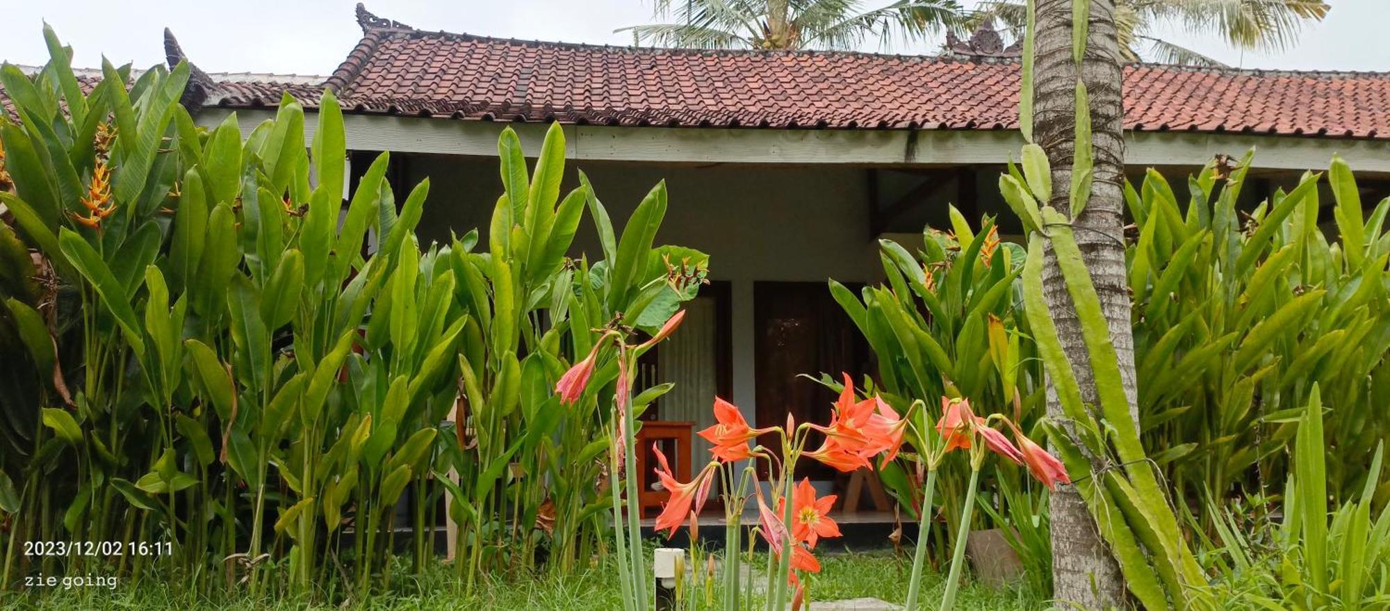 Mengalung Bungalow Kuta  Exterior foto